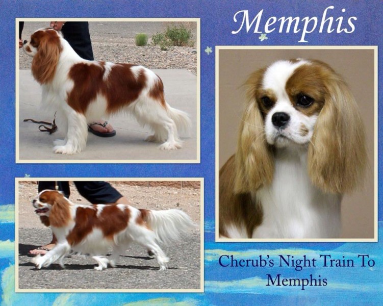 Memphis